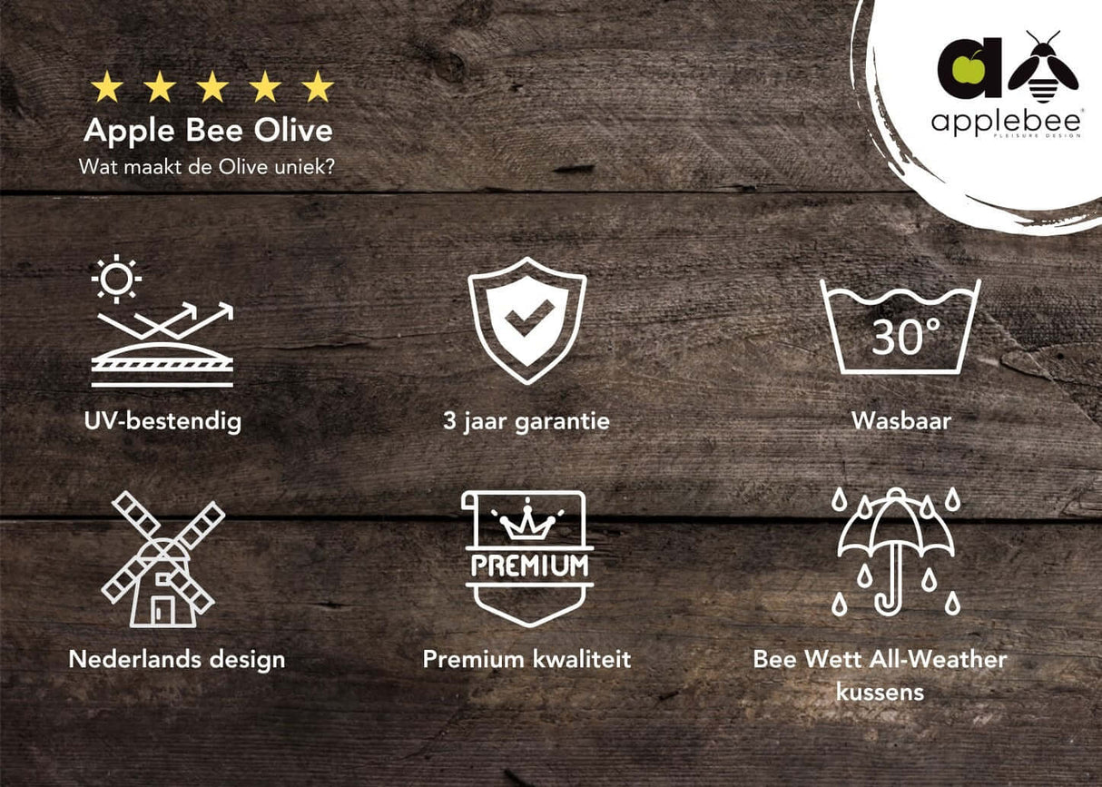 Apple Bee Olive Loungeset Coastal nr.1