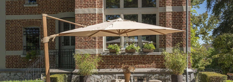 Hangparasols