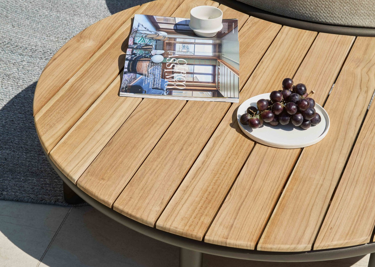 Apple_Bee_MoonIsland_Bronze-detail teak