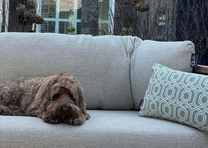 Apple Bee Condor loungeset 3-delig Nr. 10 Premium