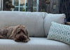 Apple Bee Condor loungeset 3-delig Nr. 10 Premium