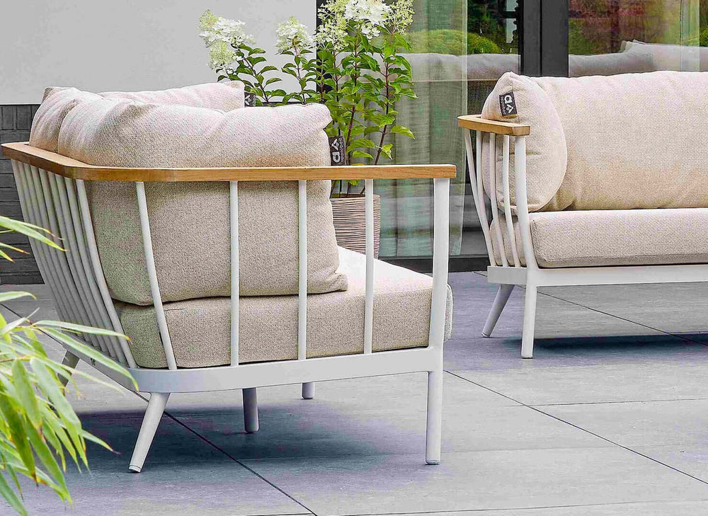 Apple Bee Condor Oyster